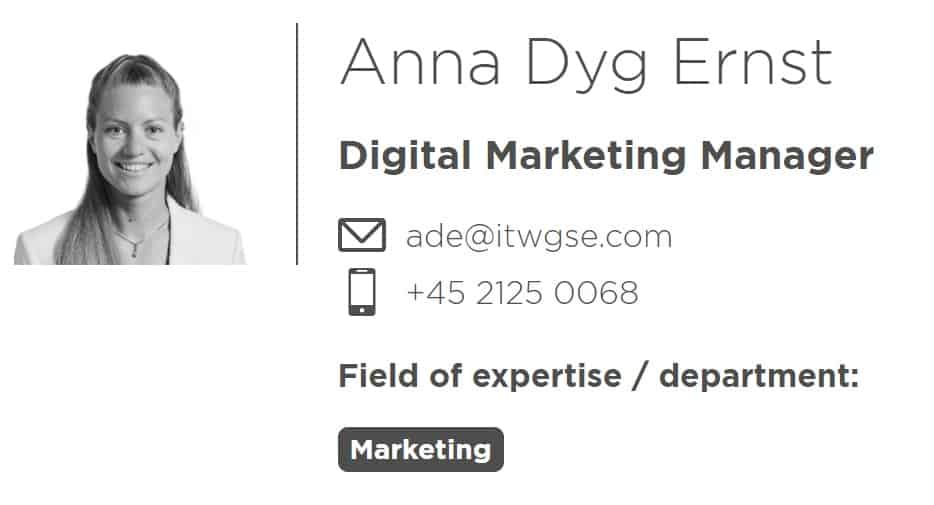 Anna Dyg Ernst - Digital Marketing Manager | ITW GSE